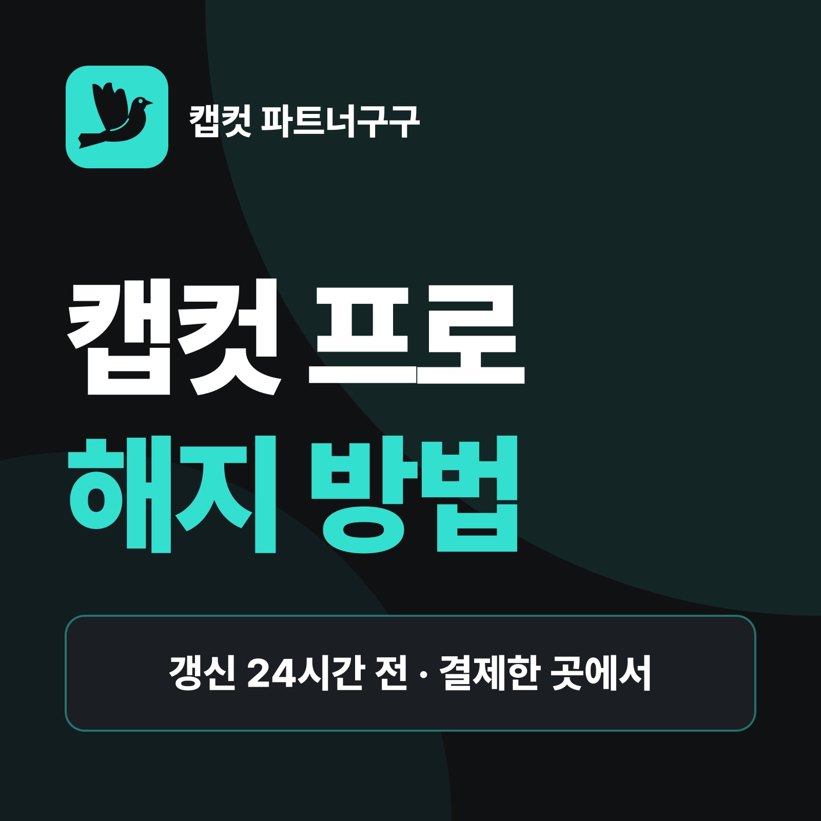 캡컷 프로 해지·환불 방법 — 웹 · 앱스토어 · 구글 플레이, 앱 삭제 ≠ 구독 해지, 환불은 고객지원 문의