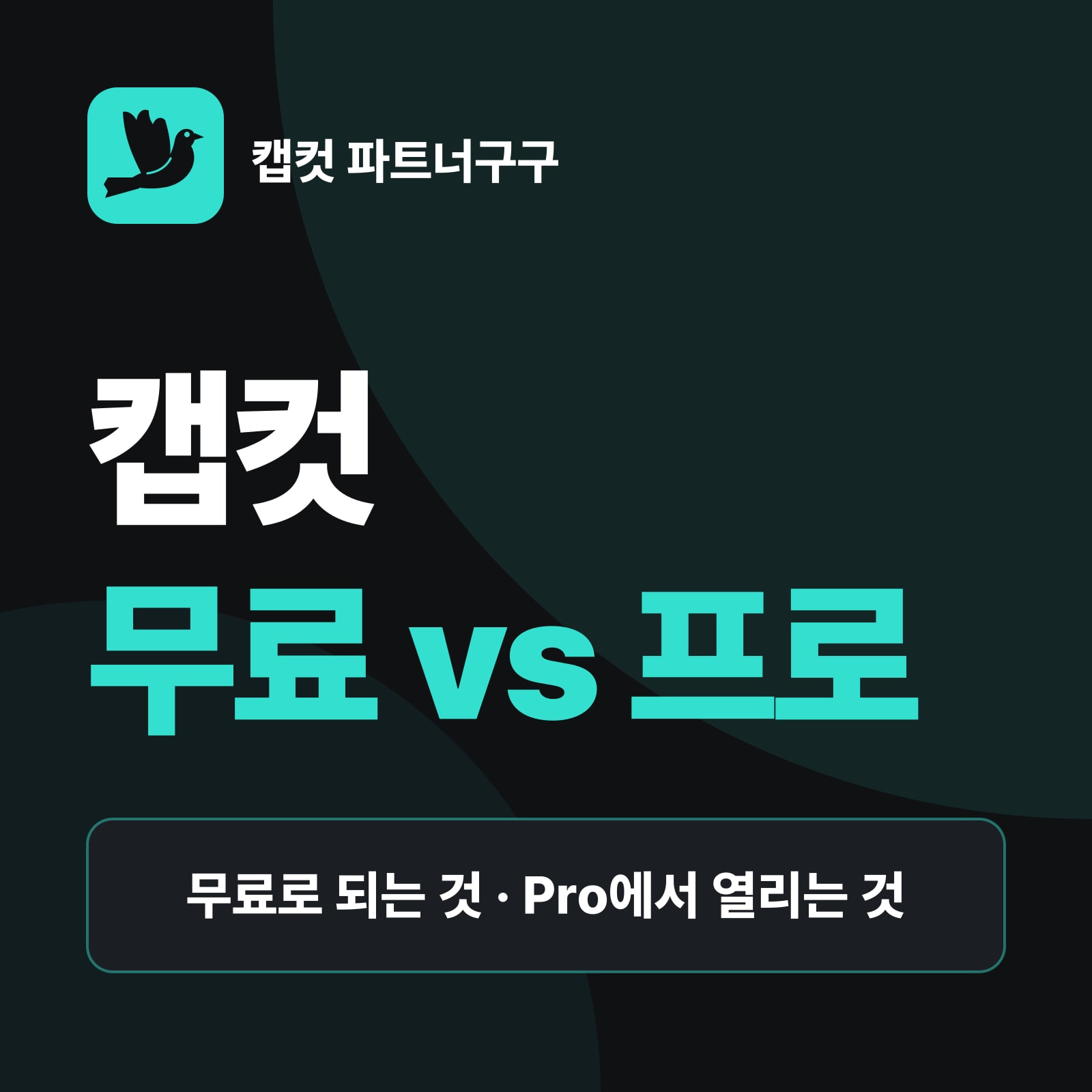 캡컷 무료 vs 프로 차이 — 템플릿 · 편집 기능, AI 크레딧 · 크레딧 구매, 공간 저장 용량