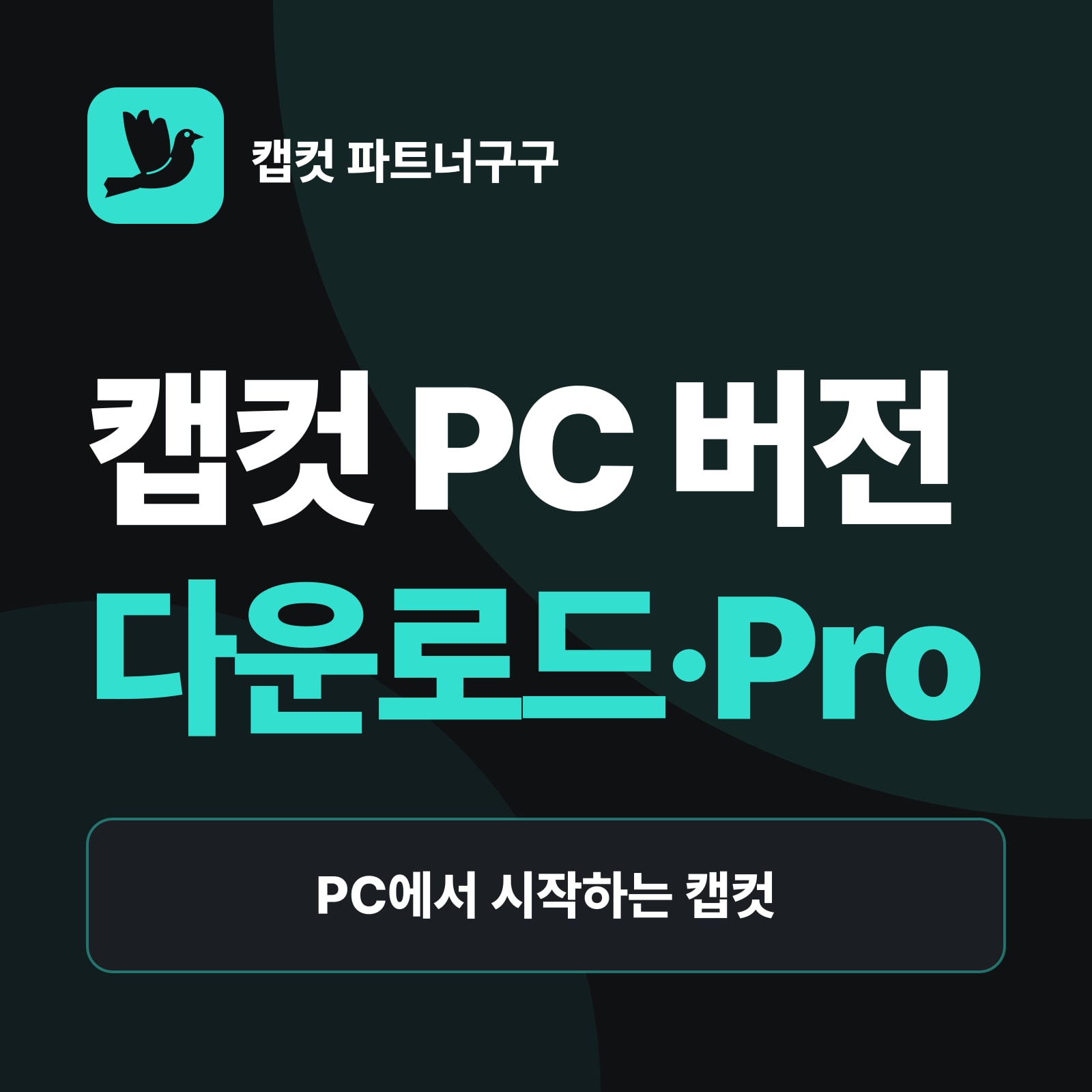 캡컷 PC 버전 — 다운로드·Pro 결제 — 앱 다운로드 · 온라인 에디터, Pro 요금제 · 결제 순서, 구독 관리 · 갱신일 확인