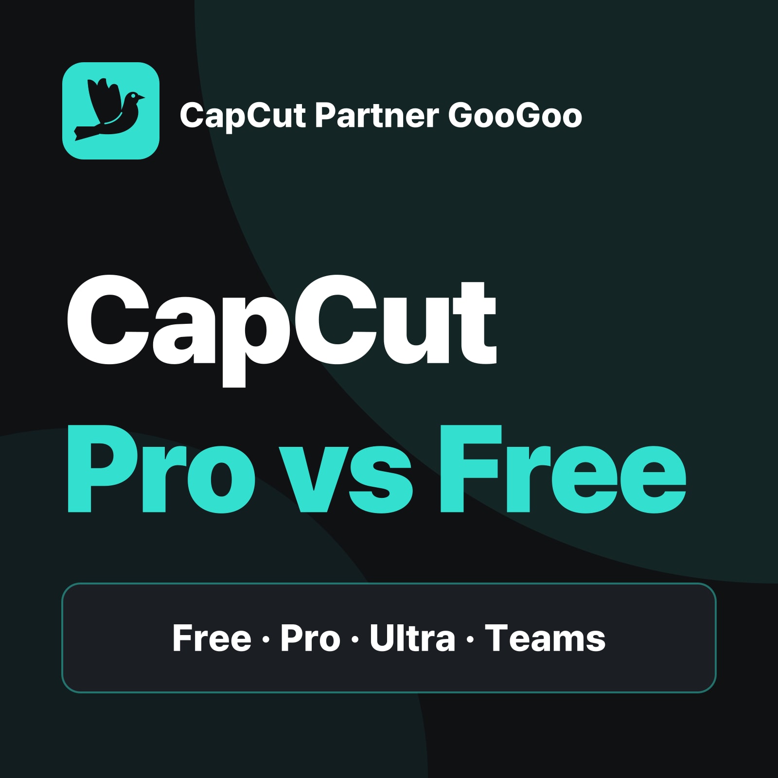 CapCut Pro vs Free — Templates and editing tools, Monthly AI credits, Auto-renewal and canceling