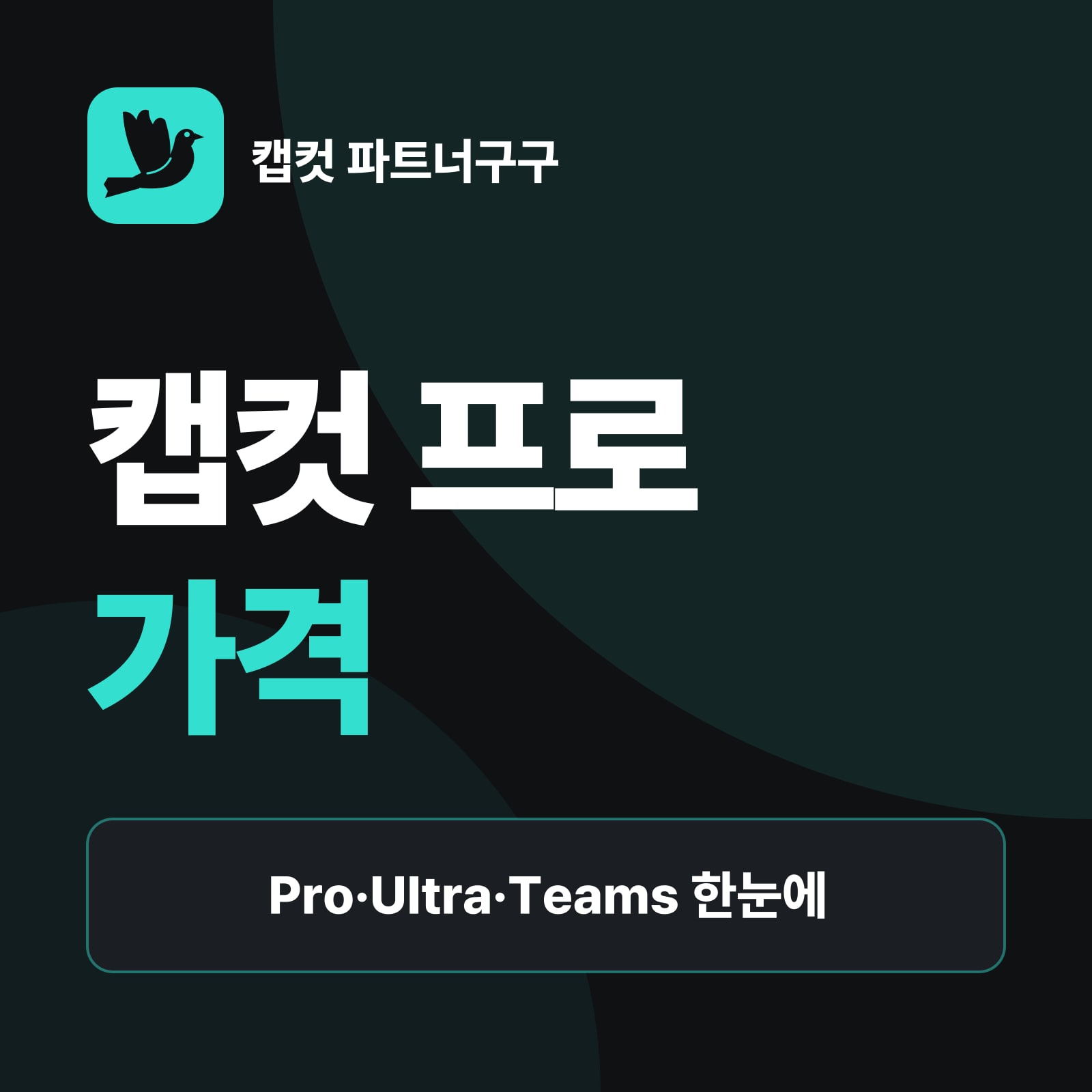 캡컷 프로 가격 총정리 — 월간 vs 연간 결제 비교, 요금제별 AI 크레딧, 해지 전 꼭 알아둘 점