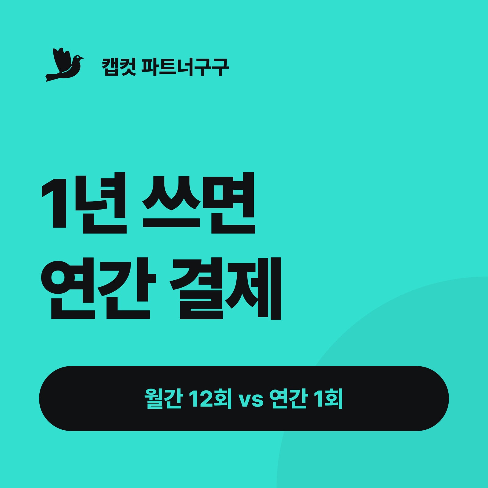 1년 쓰면 연간 결제 — 월간 12회 vs 연간 1회 (캡컷 프로 가격 — 월간 vs 연간)